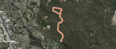Spotted Gum Circuit