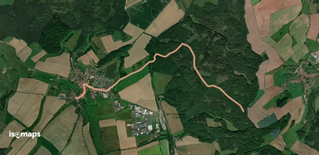 grünes Quadrat