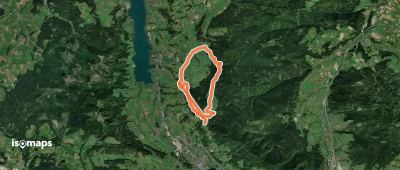 Tannenweg