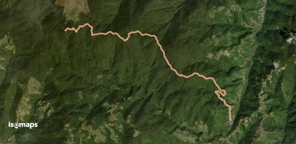 Mount Pulag Lusod Trail
