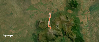 Jungle Route