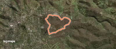 Microcarpa Hike