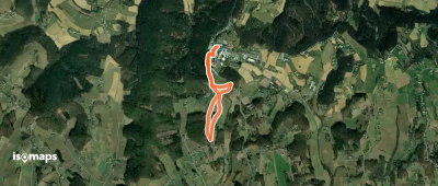 keltischer Baumkreisweg