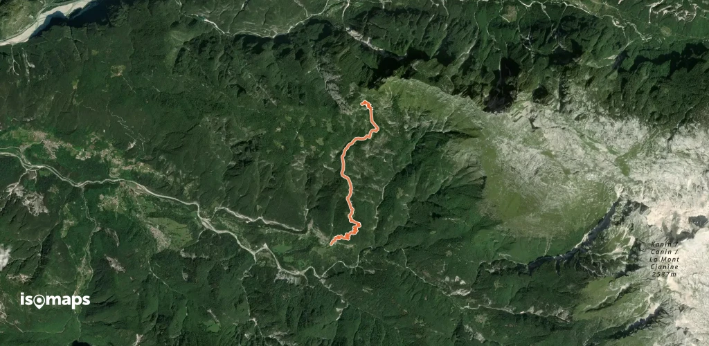 OSM Route 2390034
