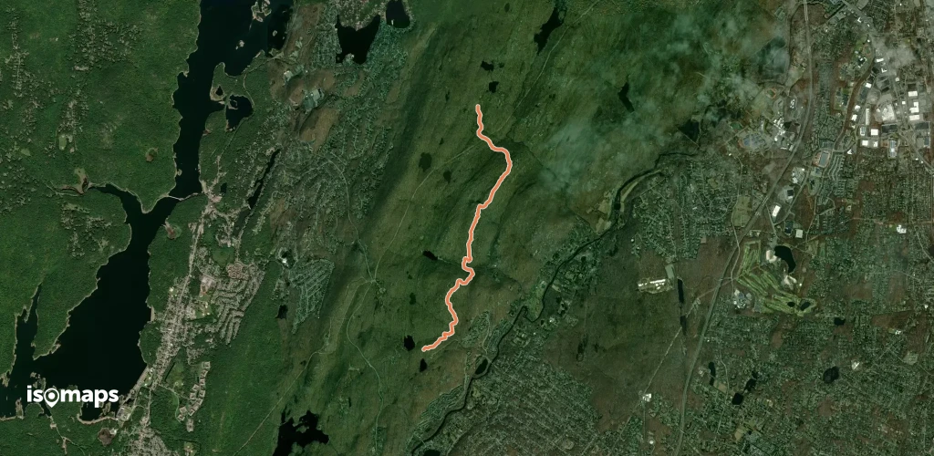 Yellow Trail