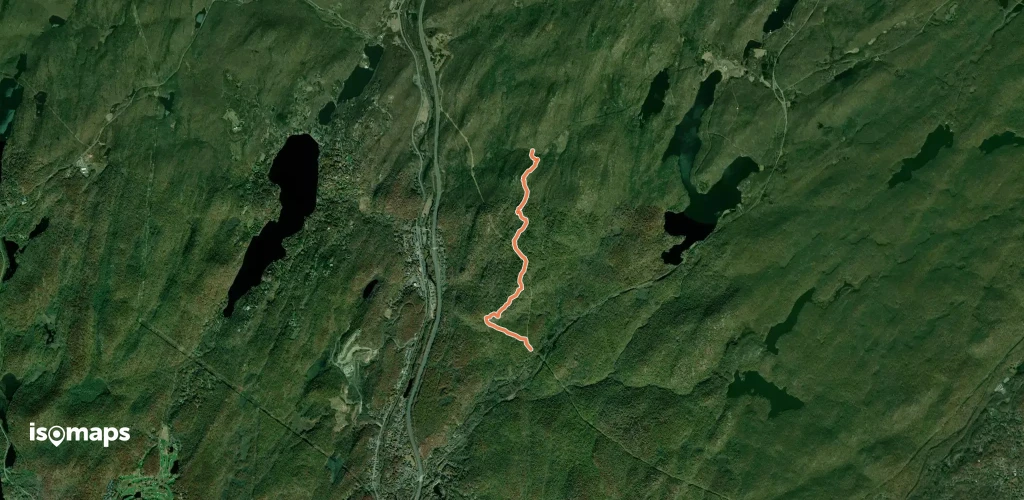 Blue Disc Trail