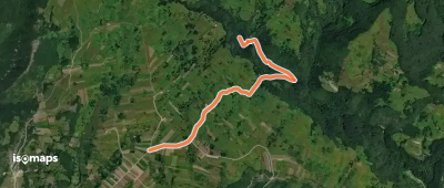 Green dot path