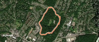 Mayapple Trail