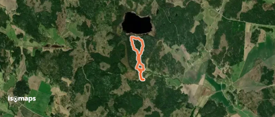 Fiby urskog