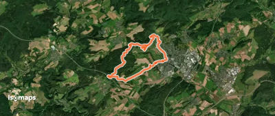 Wittlich 8