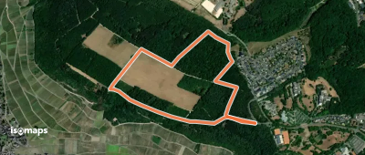 Walderlebnispfad auf dem Lieserer Plateau