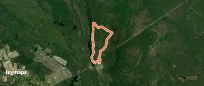 Batsto White Trail