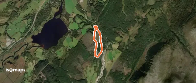 Feshie Woodland Trail