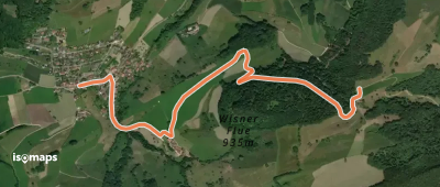 Burgweid - Wisen