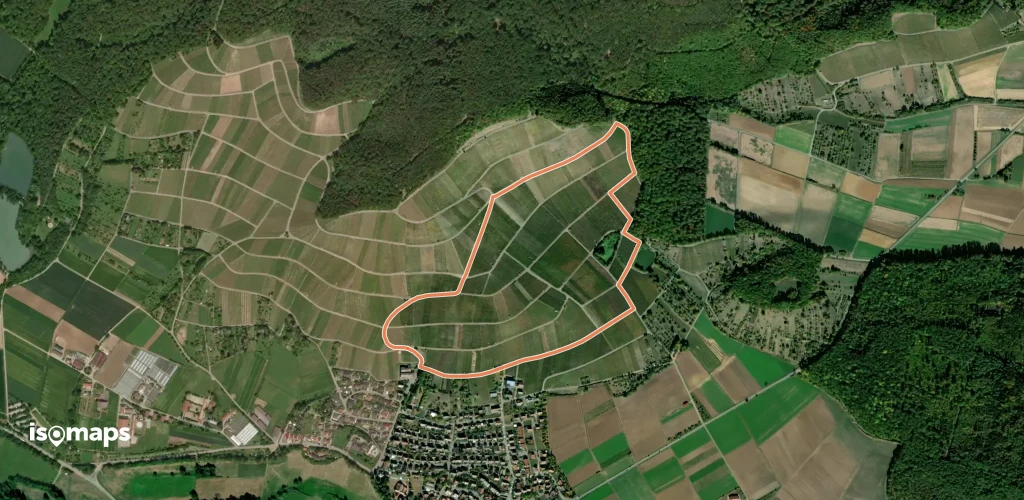Weinlehrpfad am Klosterberg