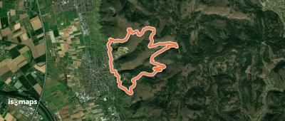 Rundwanderweg Dossenheim 1