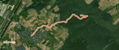 Wilde Endert, Zuweg Büchel