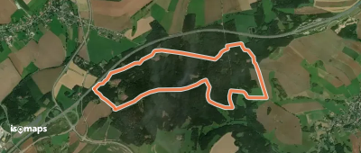 Rundwanderweg Waldhaus / Ebersbrunner Wald