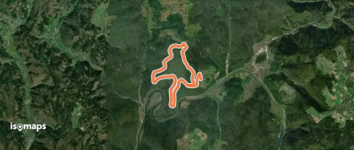 Rundwanderweg Hirschhorn Igelsbach 2: Langer-Wald-Weg