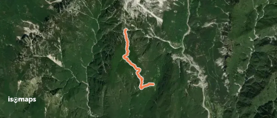 OSM Route 2429243