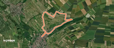 Schwabenheim: 2 Klostergarten