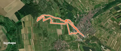 Schwabenheim: 4 Schloßberg