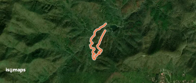 Pine Tree Loop