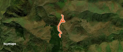 Black Balsam Knob Trail