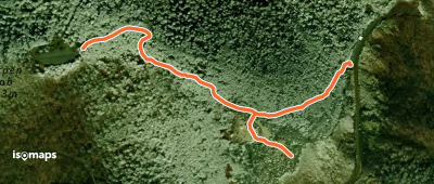 Craggy Gardens Trail