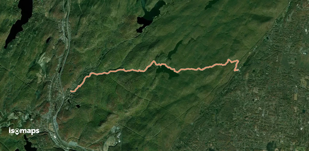 Pine Meadow Trail