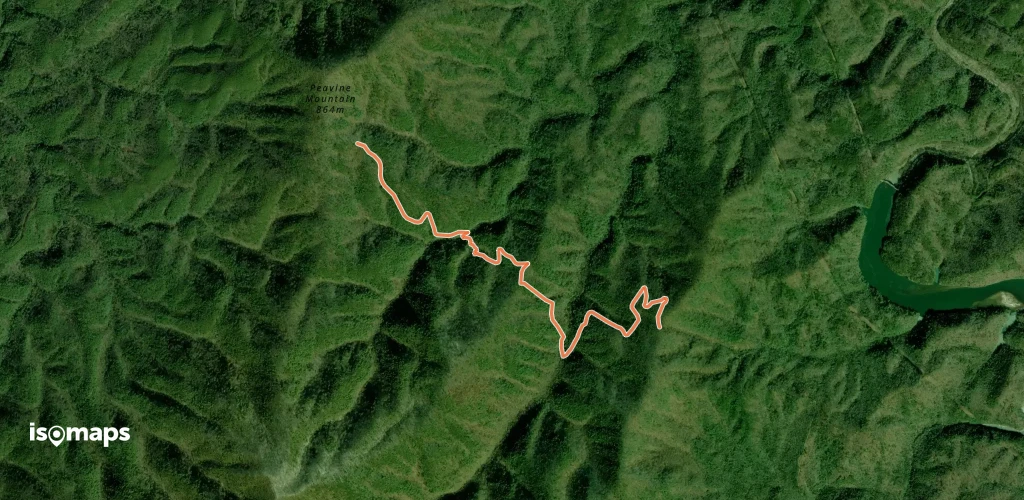 Rough Creek