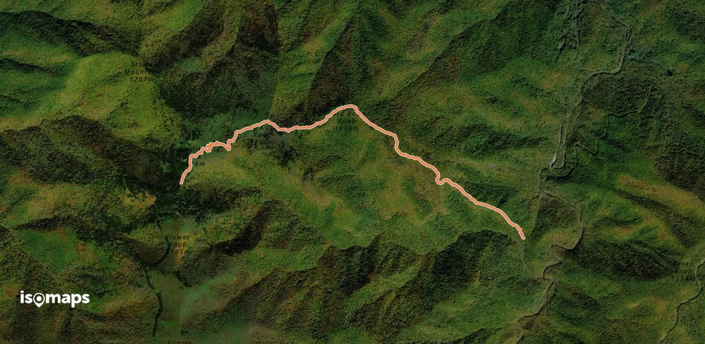 Old Butt Knob Trail