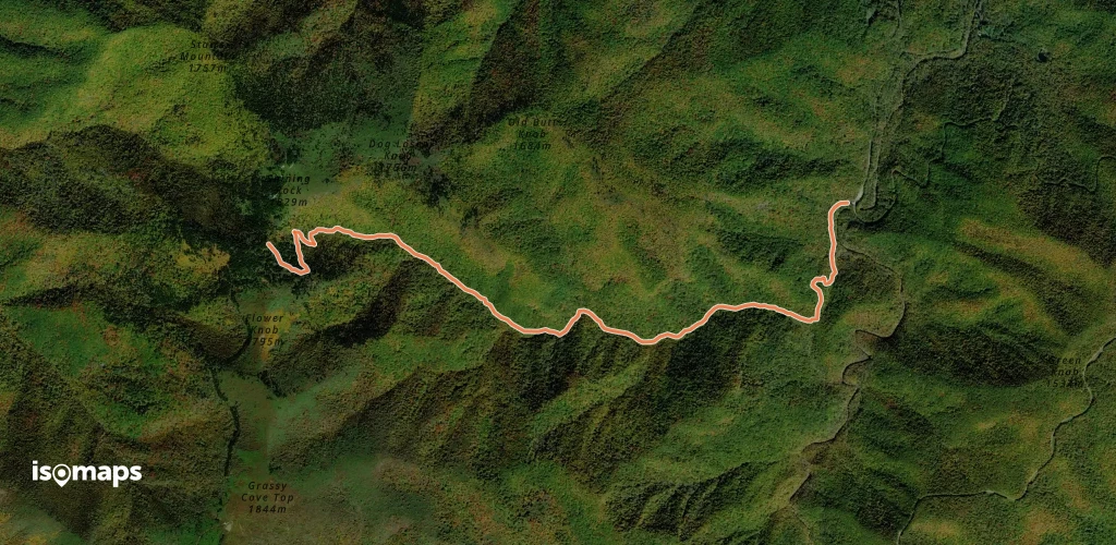 Shining Creek Path
