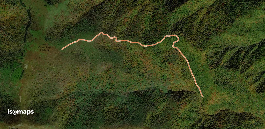 Greasy Cove Trail