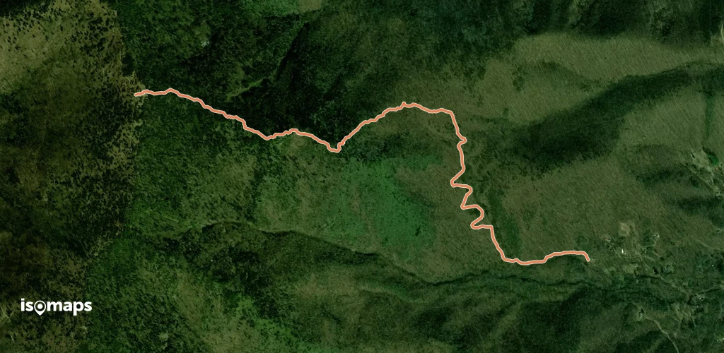 Woody Ridge Trail