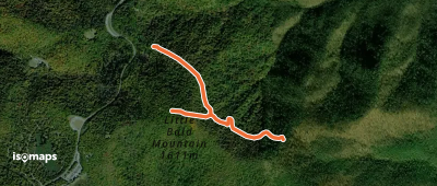 Little Bald Mountain Trail