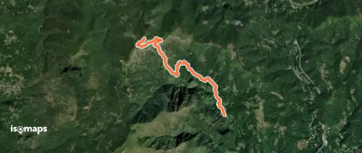 OSM Route 2446031