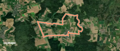 Kohleckweg