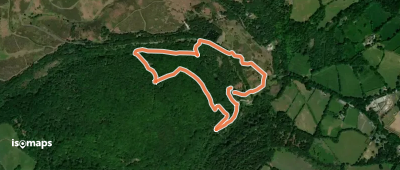 Yarner Wood Nature Trail