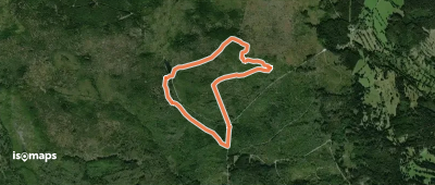 Sperlingskauz