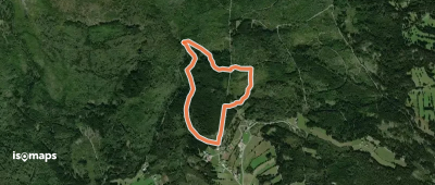 Birkhuhn