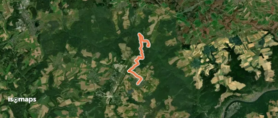 Bücheler Wanderweg 4