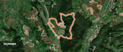 La Forêt d'Ossun