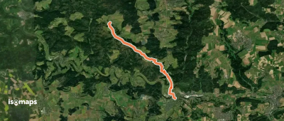 Nebenlinie des SAV (rotes Plus)