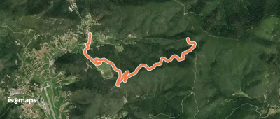 OSM Route 2463537