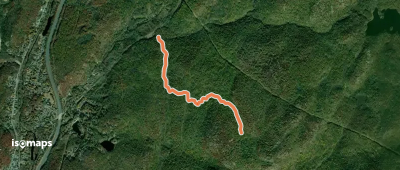 Reeves Brook Trail
