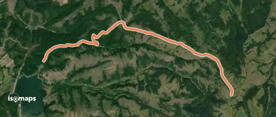 FOREST ROAD 