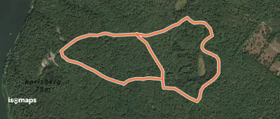 Berlin. Wald. Klima.