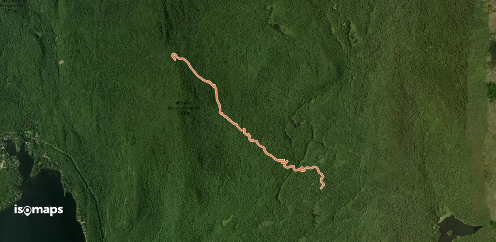 Mount Moosalamoo Trail