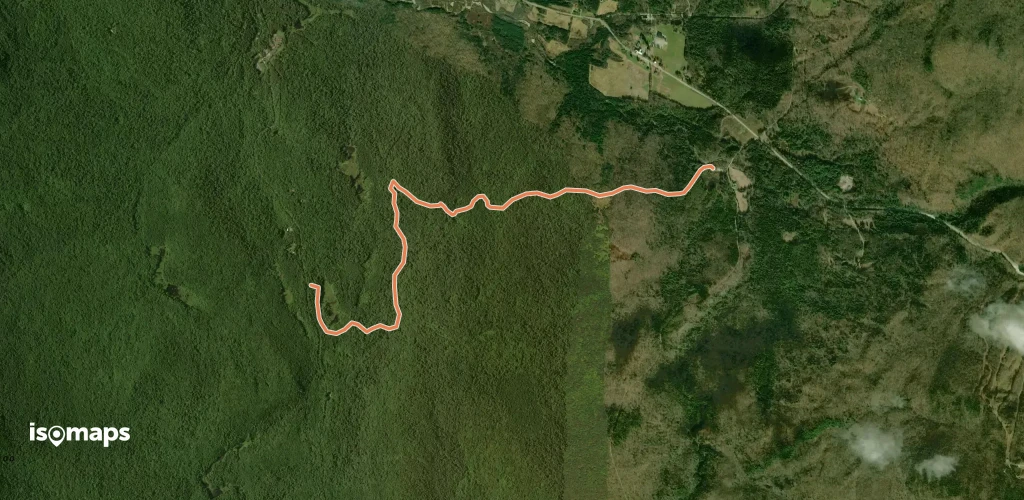 Widow's Clearing Trail